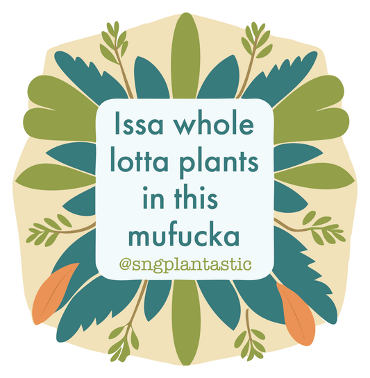 Issa Whole Lotta Plants Sticker